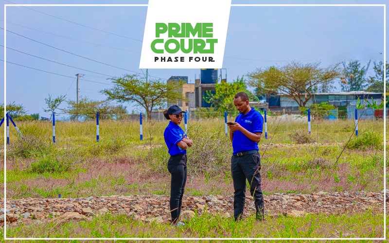 Prime Court Phase 4 — gallery